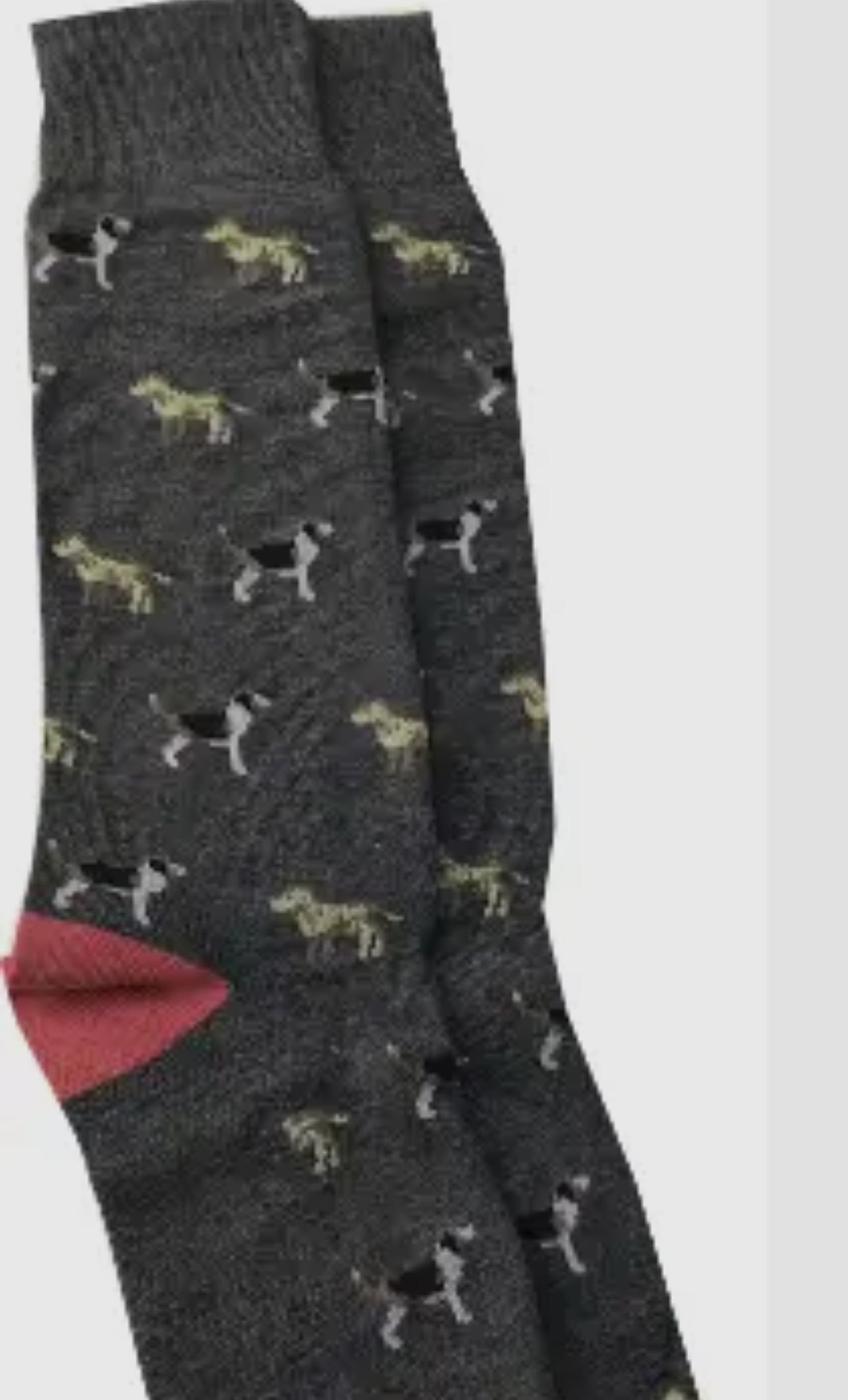 Fun Themed Socks